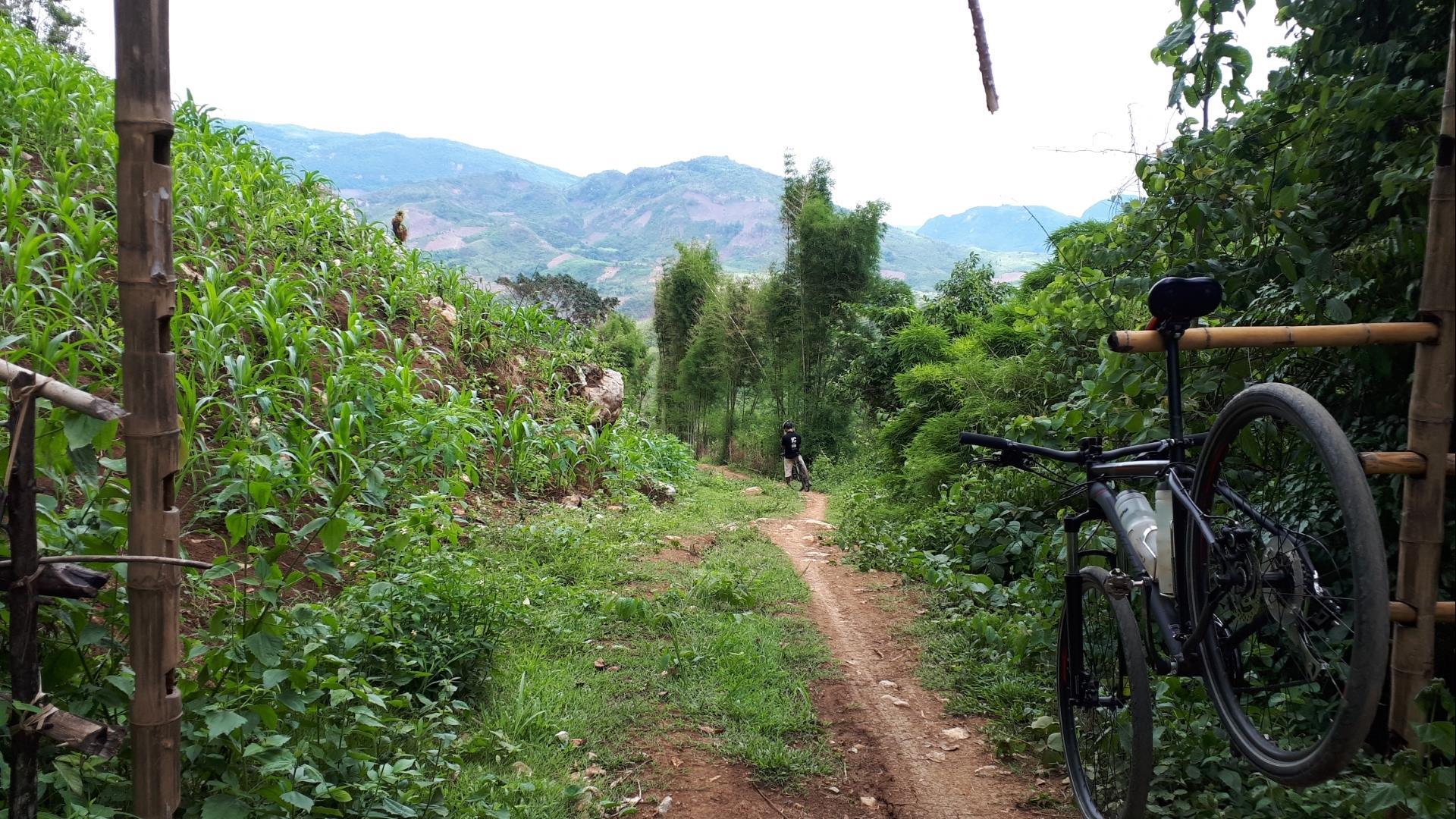 Laos, Luang Prabang : The Lung Buster - 1 Day | South East Jungle Explorer