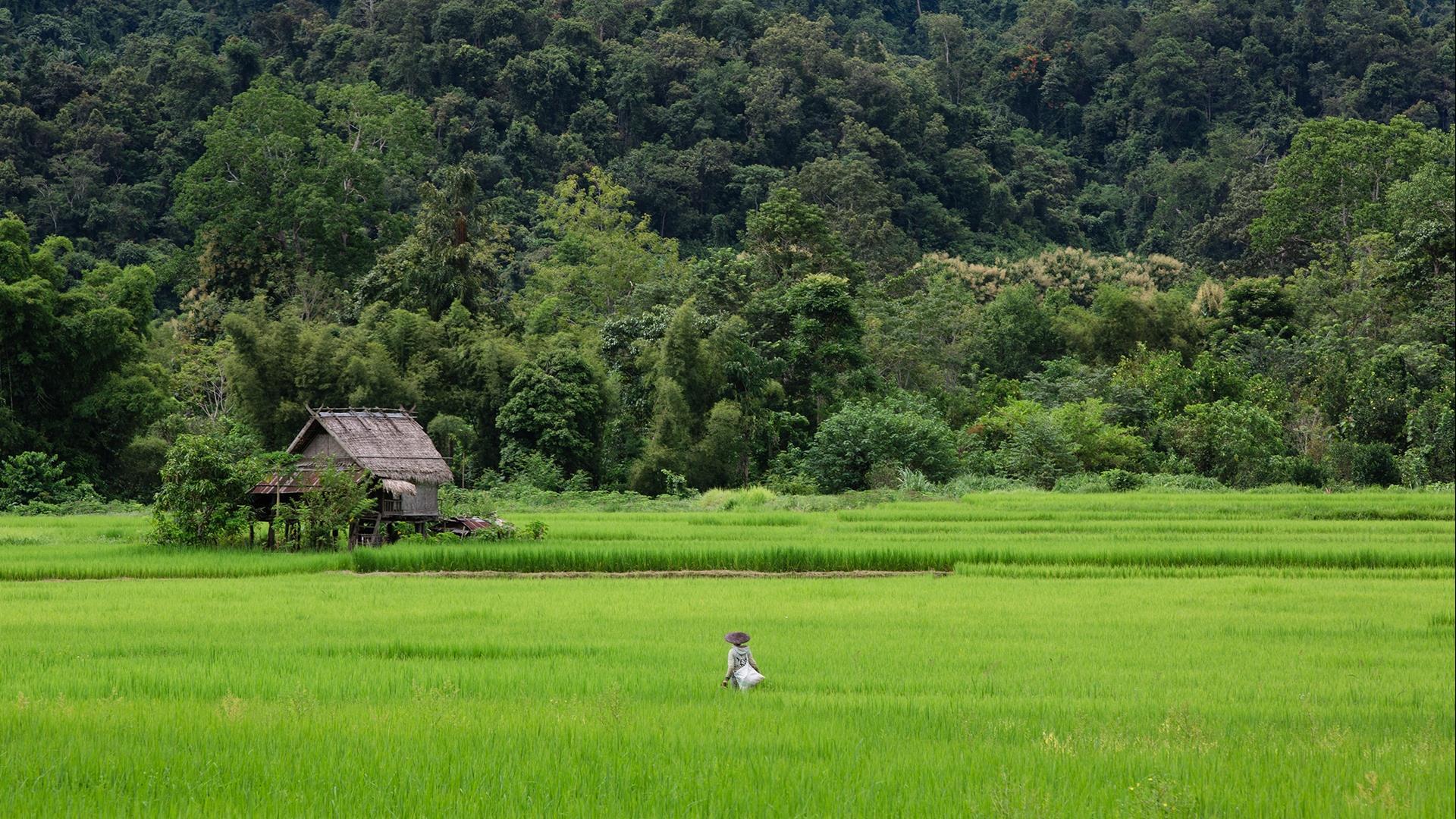Laos, Luang Prabang : The Small Chili Mountain Bike Ride - 1 Day | Find Your Own Adventure Outside of Town