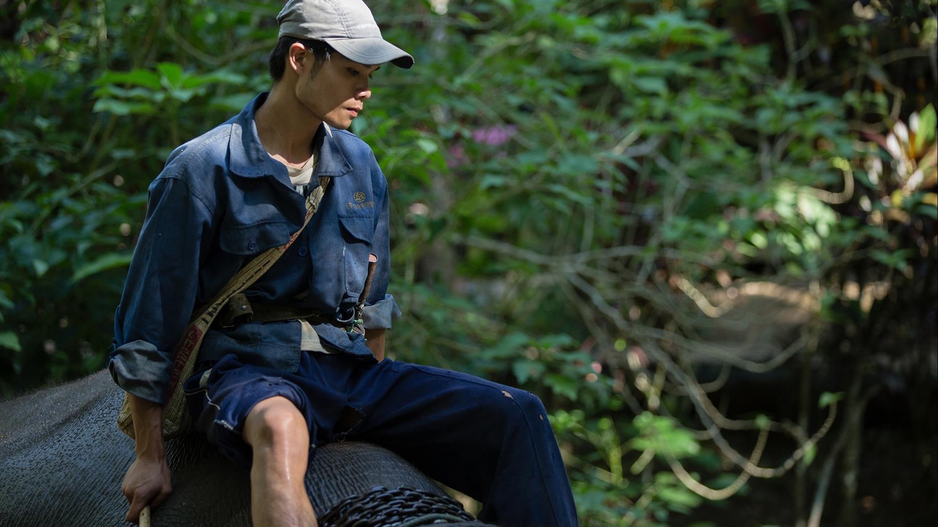 Laos, Luang Prabang : Shangri Lao Classic Explorer - 2 Days | Explore the Jungles by Elephant Laos, Luang Prabang : Shangri Lao Classic Explorer - 2 Days | Explore the Jungles by Elephant