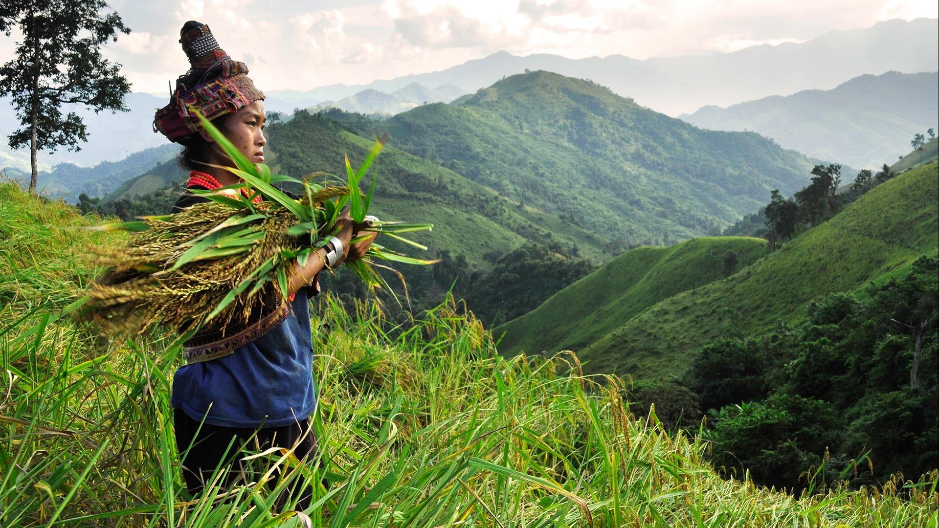 Laos, Luang Prabang – Muang Khua – Nong Khiaw: Kayaking & Camping the Nam Ou River- 8 Days | Nam Ou River Explorer Laos, Luang Prabang – Muang Khua – Nong Khiaw: Kayaking & Camping the Nam Ou River- 8 Days | Nam Ou River Explorer