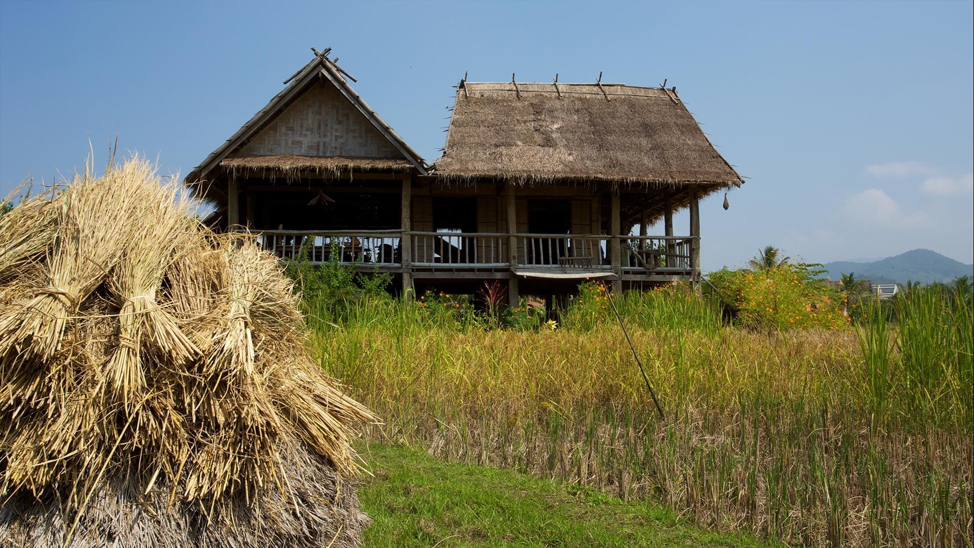 Laos, Luang Prabang: Active World Heritage Discovery - 7 Days | UNESCO soft adventure 