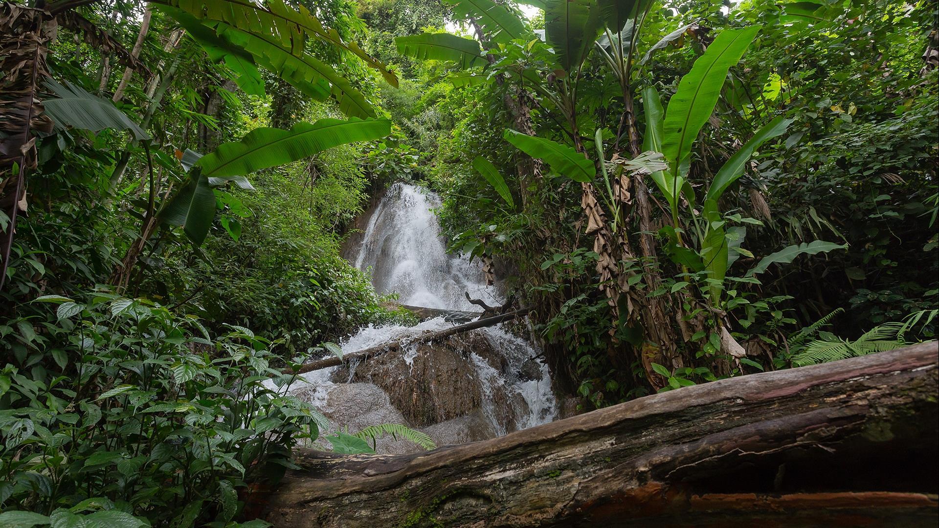 Laos, Nong Khiaw : The 100 Waterfalls Adventure Trek -1 Day | The Famous Tiger Trail 100 Waterfalls Trek, Boat Ride, and Villages Laos, Nong Khiaw : The 100 Waterfalls Adventure Trek -1 Day | The Famous Tiger Trail 100 Waterfalls Trek, Boat Ride, and Villages