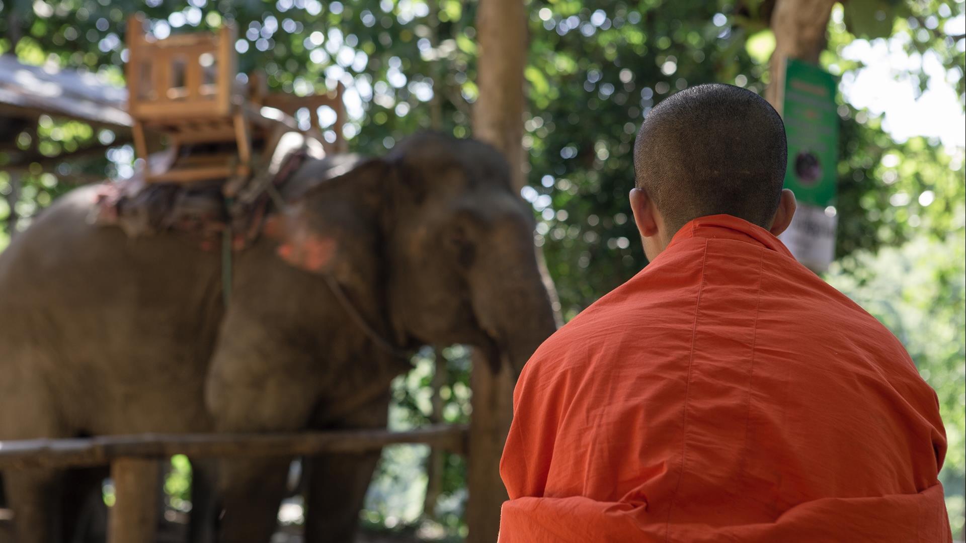 Laos, Luang Prabang: Trek, Kayak, Homestay & Elephant Combo Tour- 2 Days | An Active Exploration of the Nam Khan River Valley Laos, Luang Prabang: Trek, Kayak, Homestay & Elephant Combo Tour- 2 Days | An Active Exploration of the Nam Khan River Valley