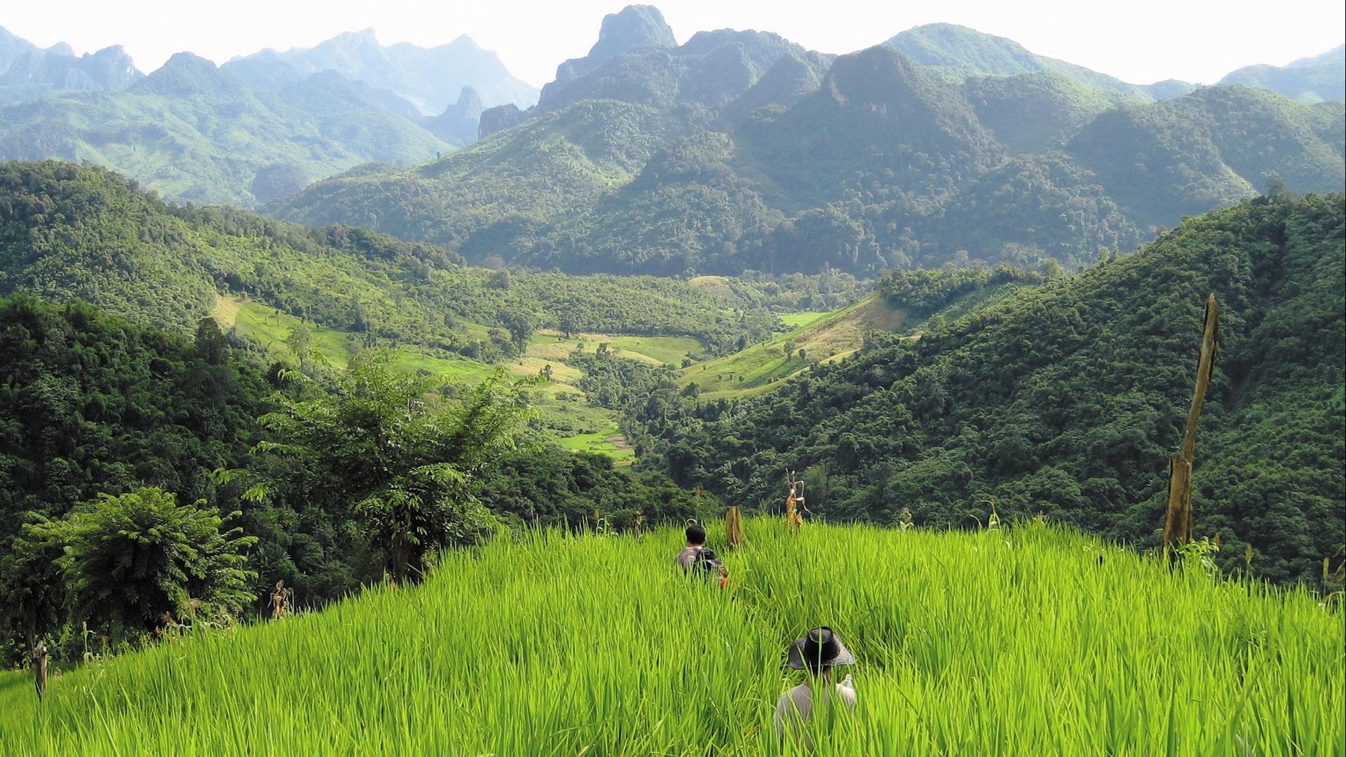 Laos, Luang Prabang: Mountain Trek & Ethnic Village Overnight Experience - 2 Days | A Fair Trek Hmong & Khmu Hilltribe Immersion