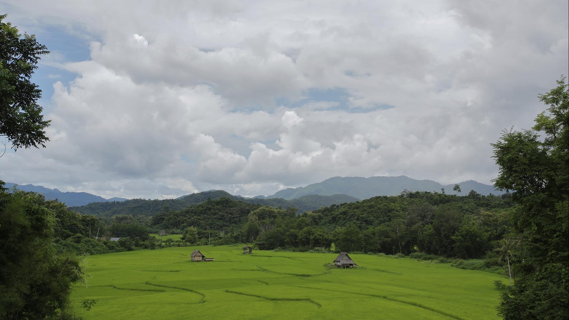 Laos, Nong Khiaw: Nong Khiaw Back Country Explorer - 3 Days | Nong Khiaw Laos Village Immersion: Trek, Waterfall, Kayak & Local Life