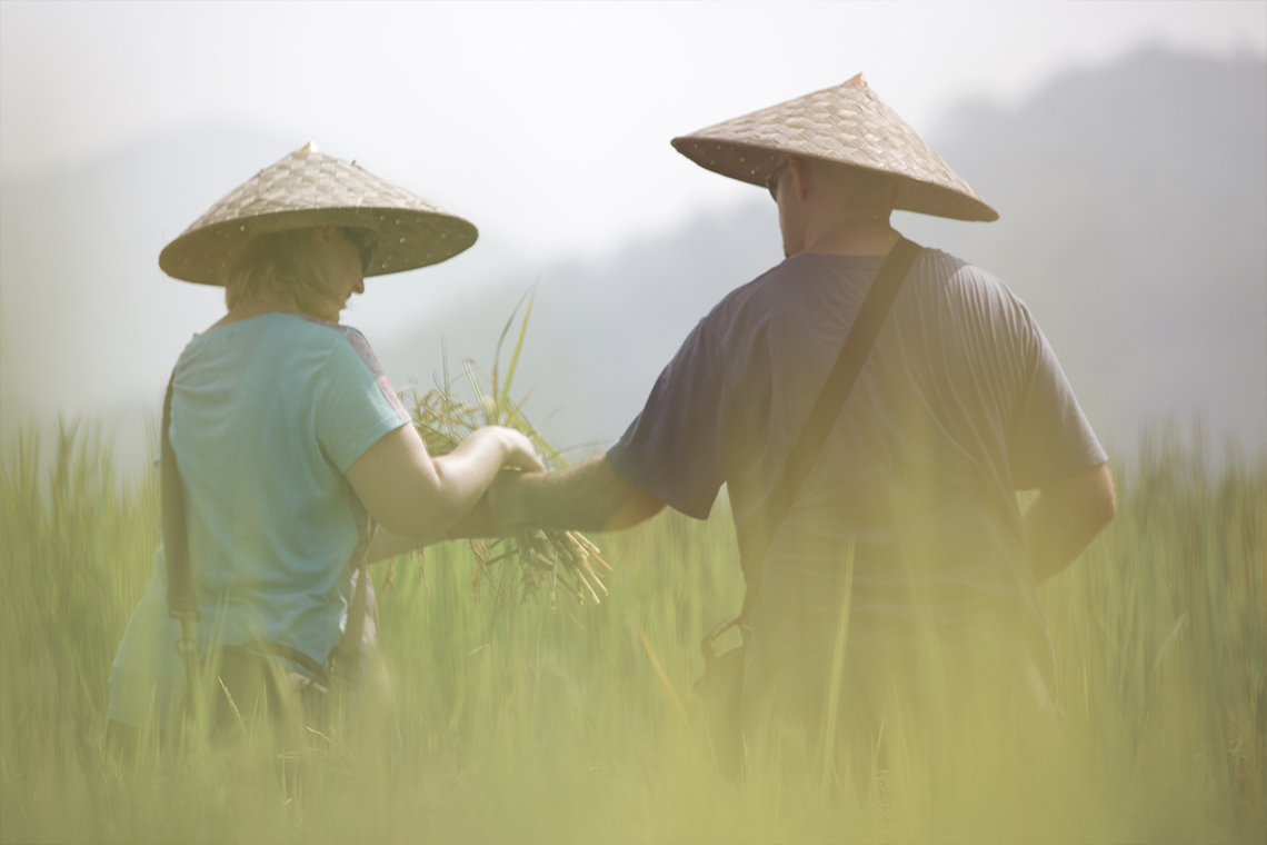Living Land Farm - Luang Prabang