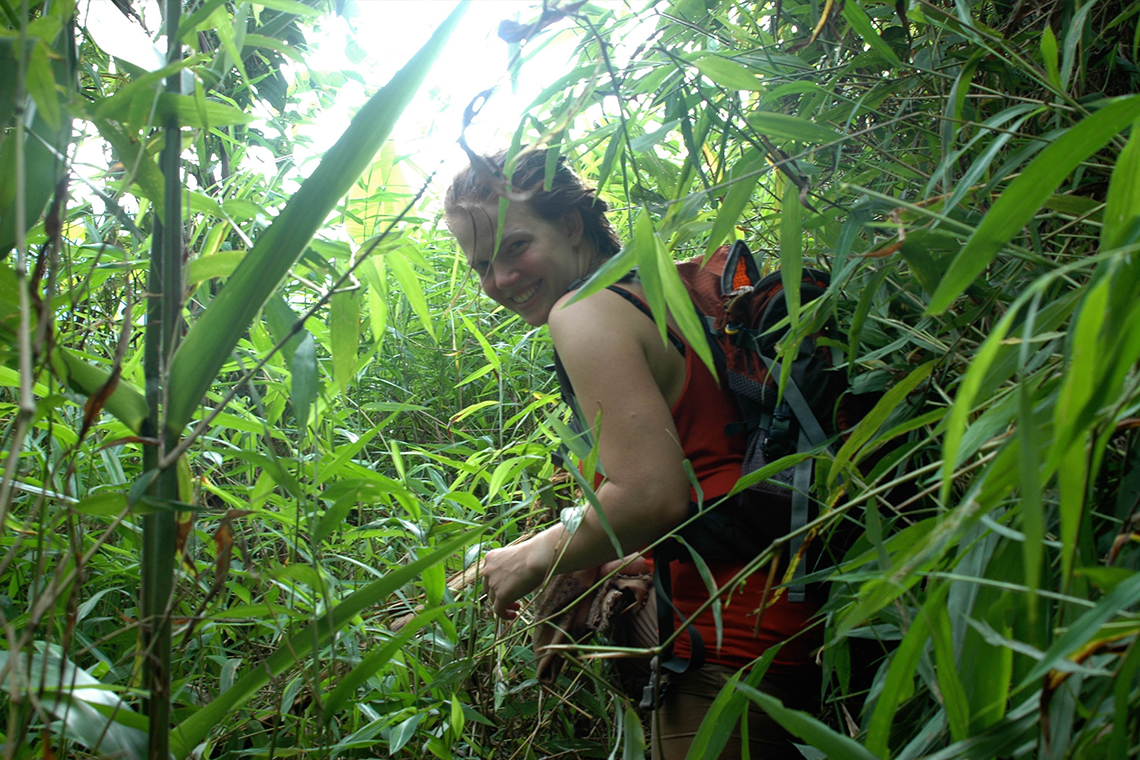 Trekking through thick Plants near Nong Khiaw