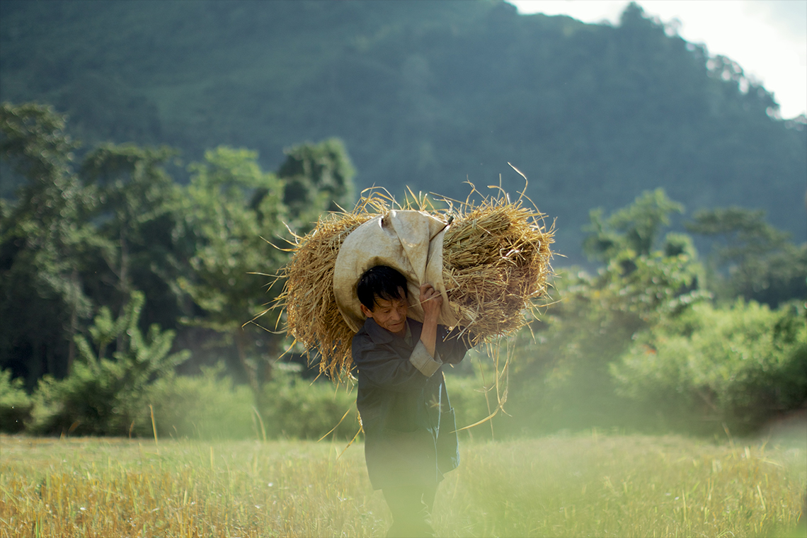 Eco Bungalow - Field Work