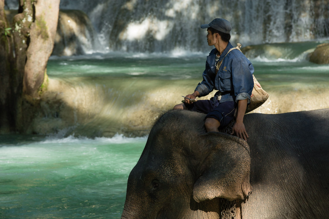 Elephant Mahoud - Tad Sae Waterfall