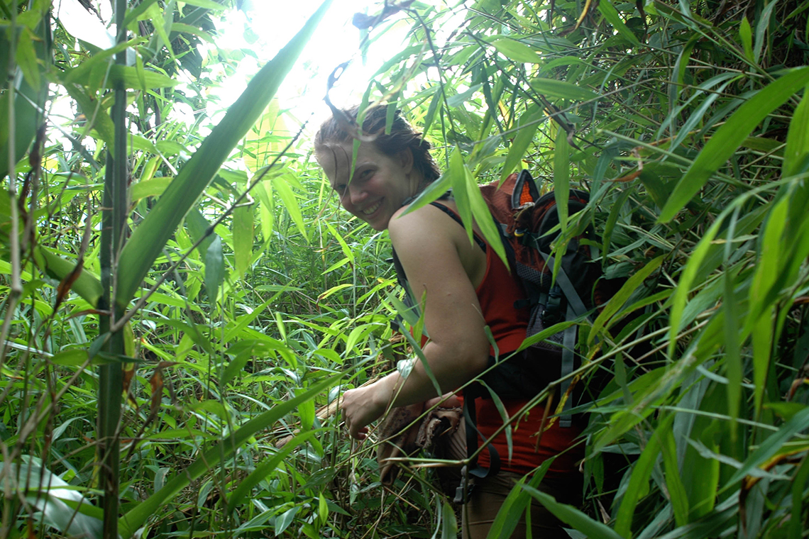 Trekking through thick Plants