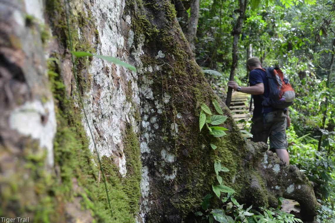 Trekking to the Hidden Waterfall