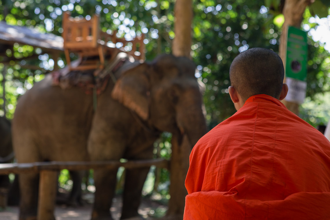 Tad Sae Elefant Riding